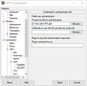 Connect to Your Server Via SSH