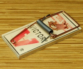 Setting a Mouse Trap | the Best Mouse Trap | Humane Mouse Traps | Glue Mouse Traps | the Best Mouse Trap Baits