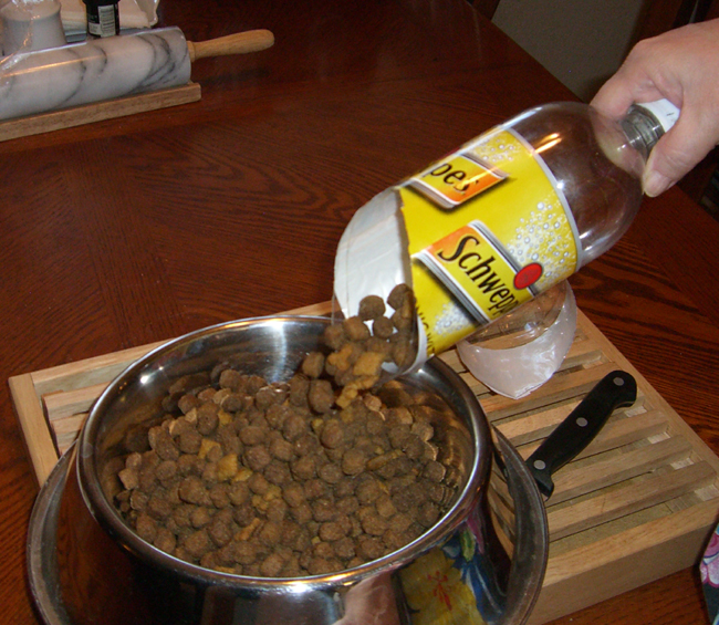 Handy Go Green Scoops