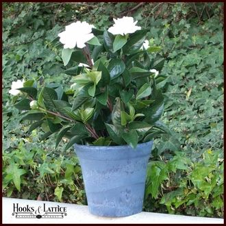 Improve Your Garden With the Use of Fake Outdoor Plants