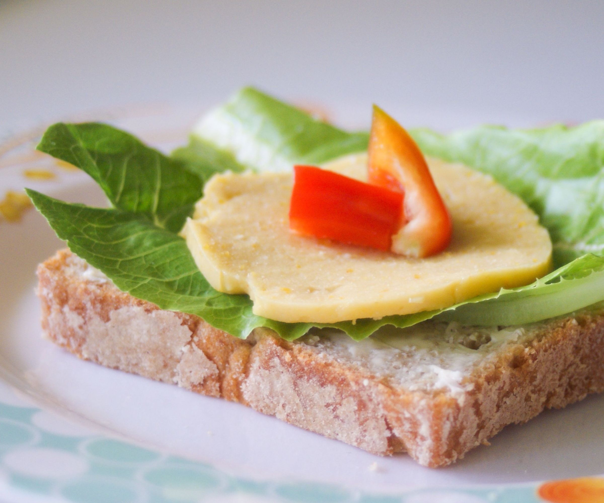 Sliceable Vegan Cheese With Pumpkin