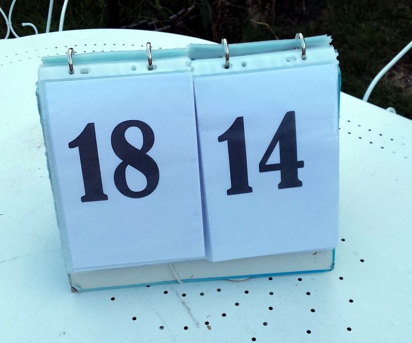 Build a Cheap Scorer