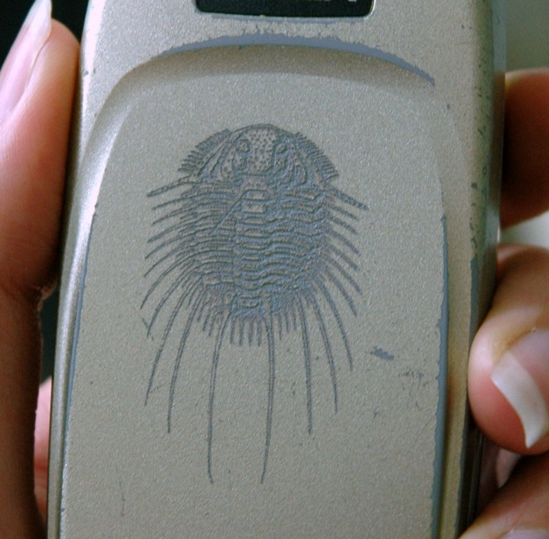 Personalize Your Phone