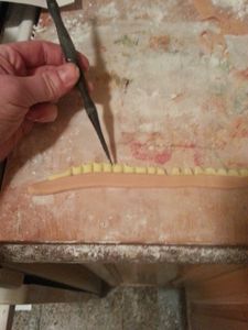 Teeth