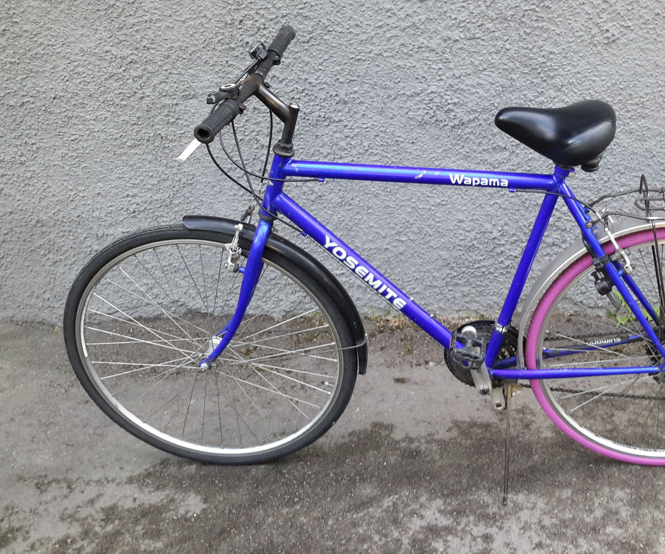 Bo Enedahl WiseSolution 