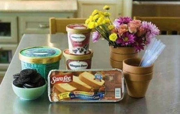 Potted Plant Dessert