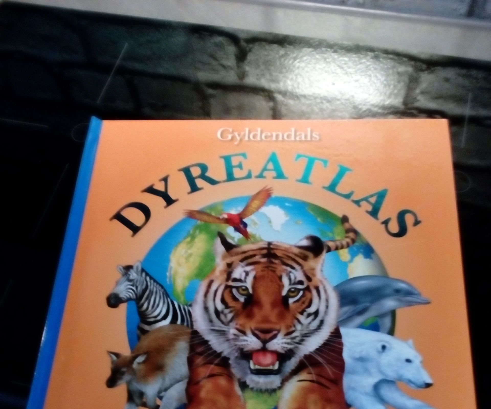 How to Fix a Book Cover With Vinyl Repair