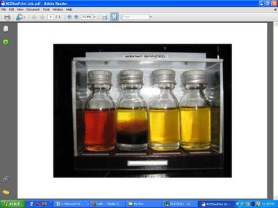 PDF Your Picture Files