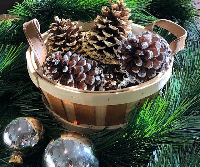Gilded Pine Cones for Your Holiday Decor