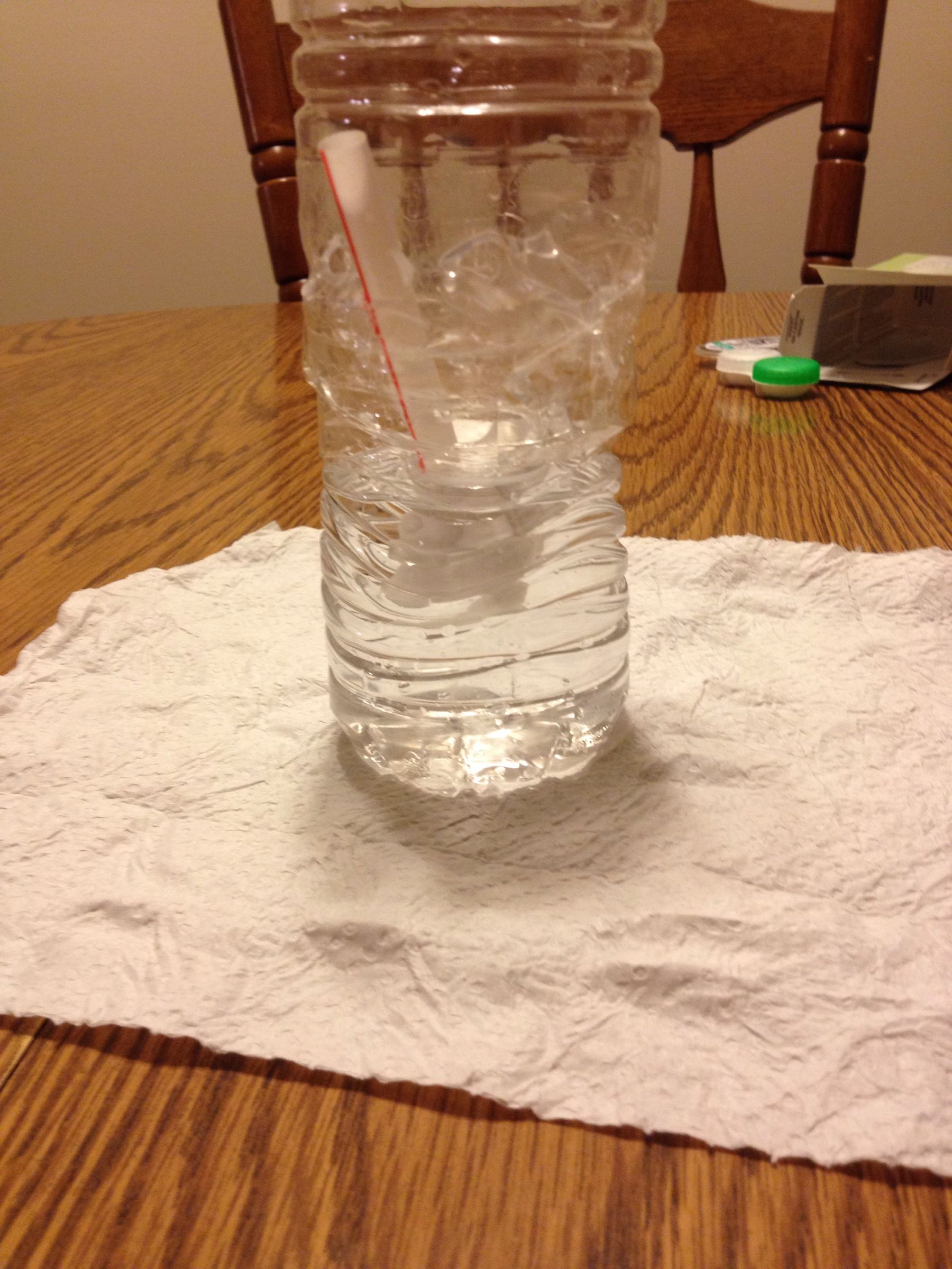Self-Watering Water Bottle Planter