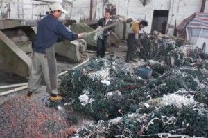 Recycle Christmas Lights for a Good Cause