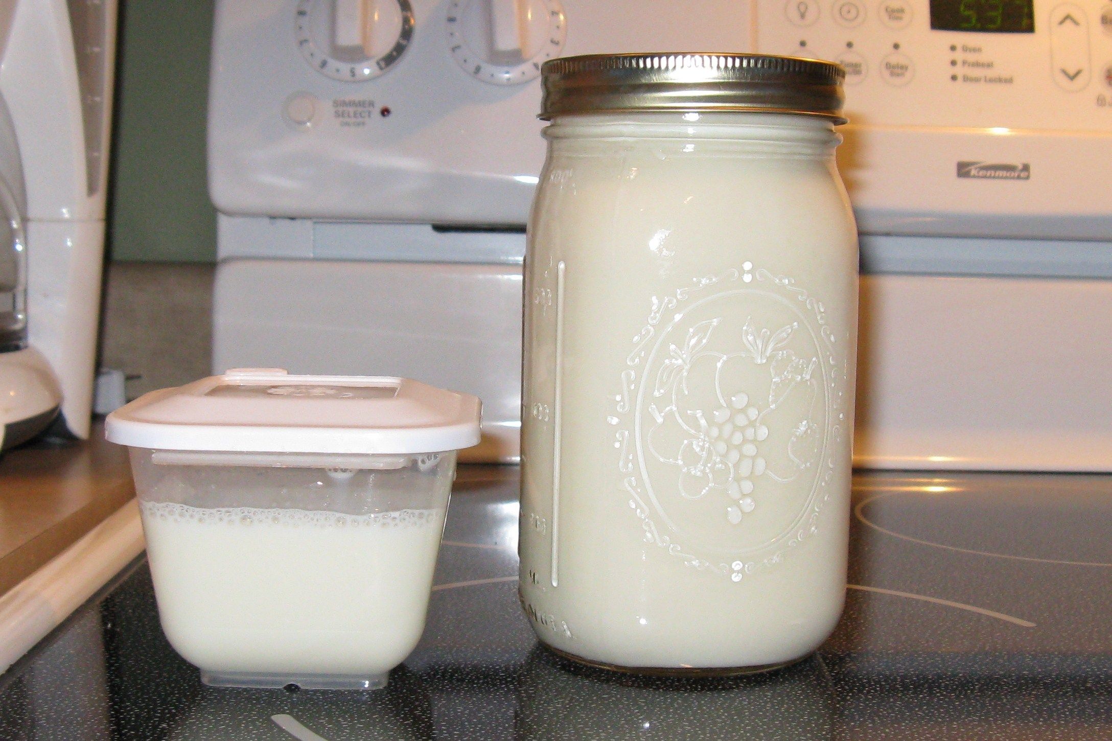 Easy Yogurt Making