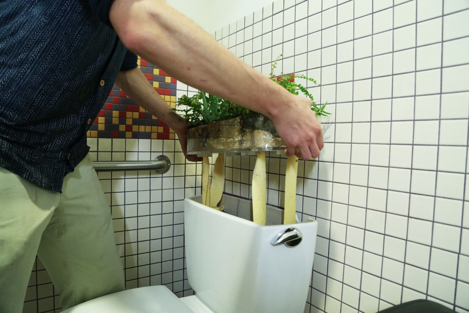 Toilet Garden 12 Steps (with Pictures) Instructables