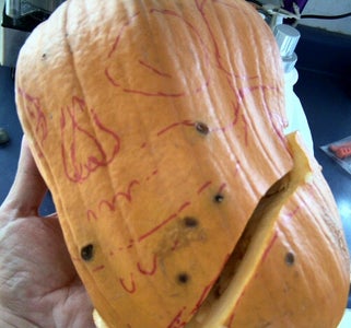 The First Cut Is the Deepest