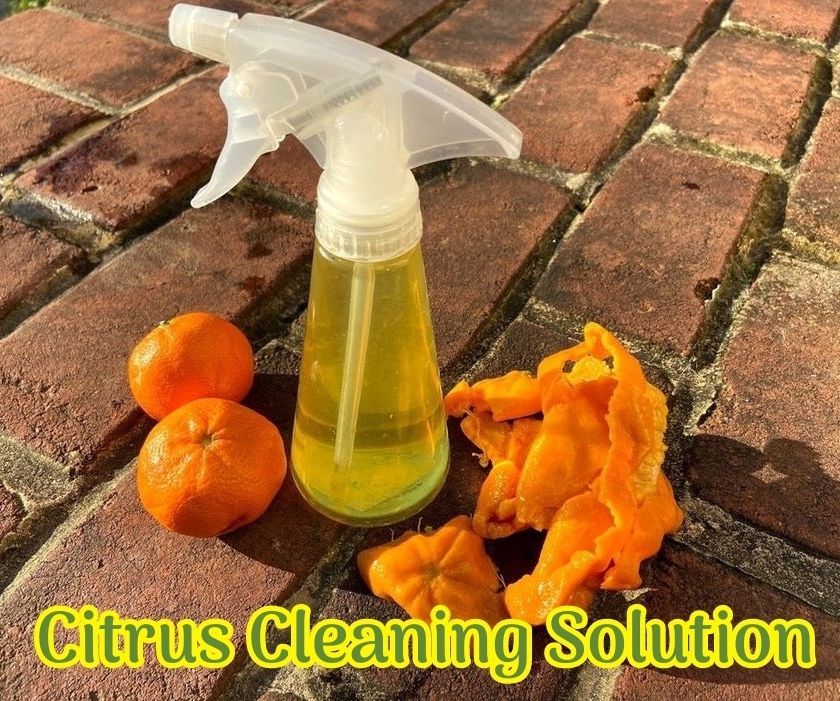 Citrus Cleaner