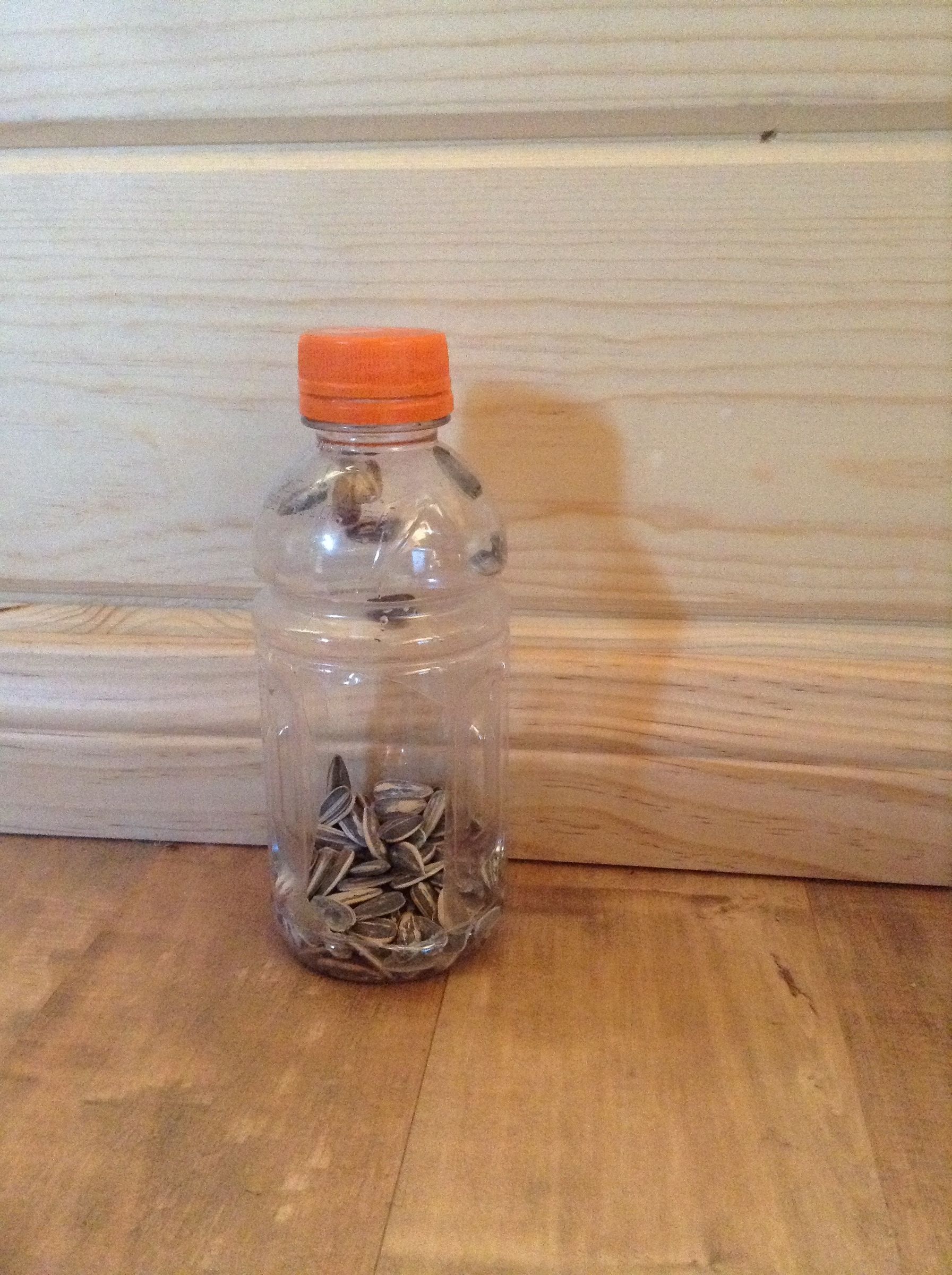 Simplest Bird Feeder Ever