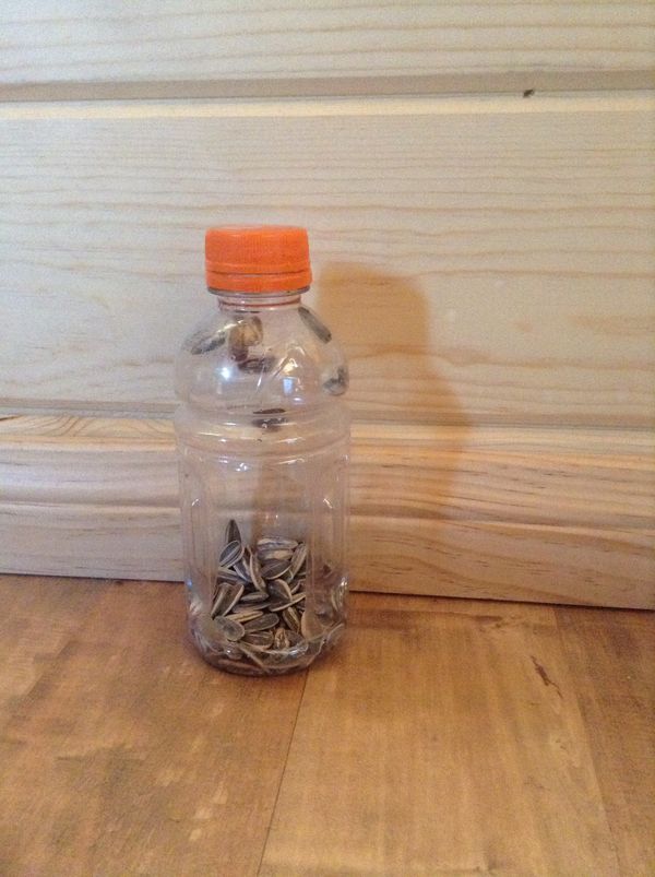 Simplest Bird Feeder Ever