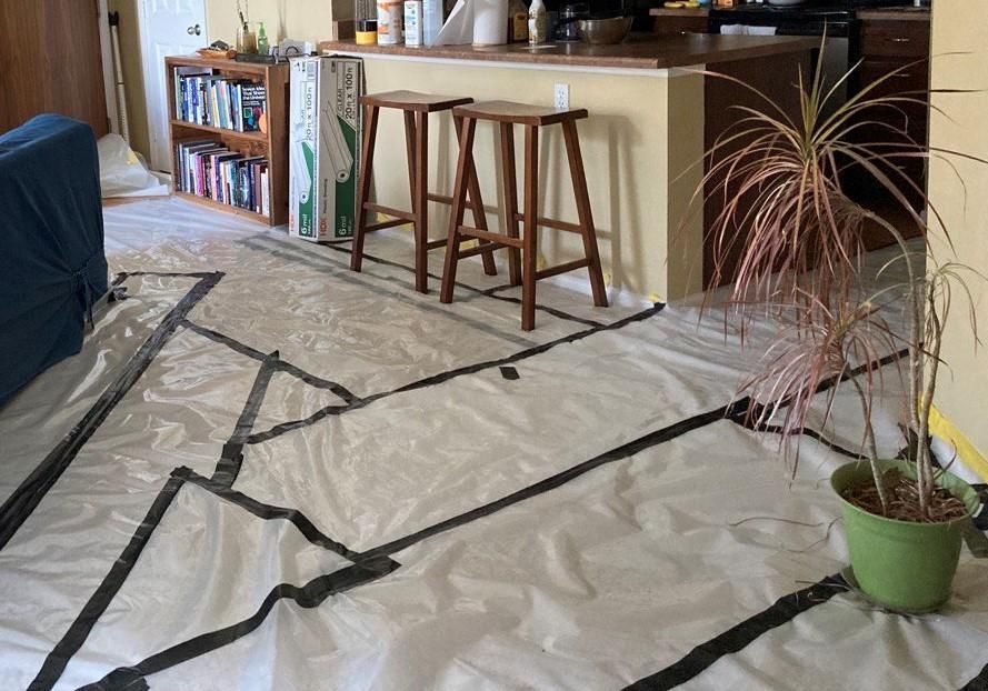 Temporarily Pet-proof Your Floors!