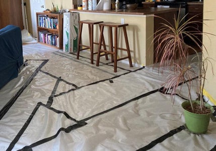 Temporarily Pet-proof Your Floors!