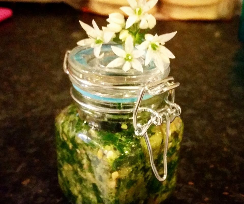 Wild Garlic and Basil Chunky Pesto