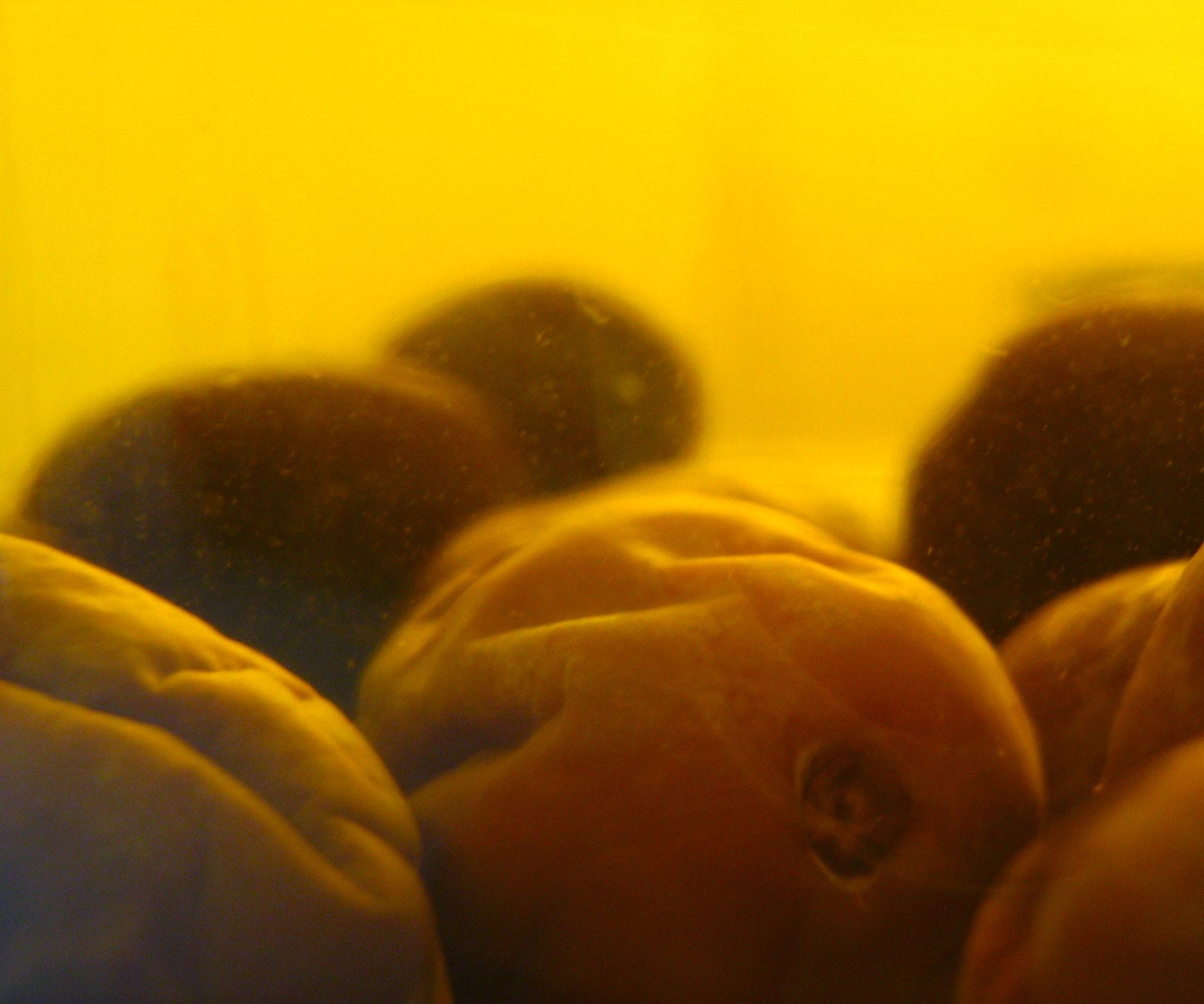 Umeshu...ish