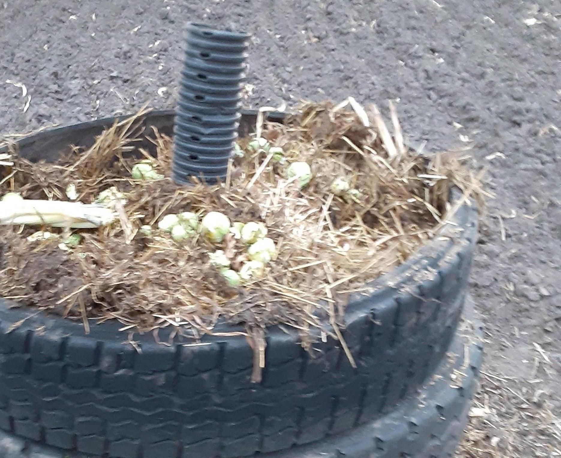 Car Tire Composting Bin