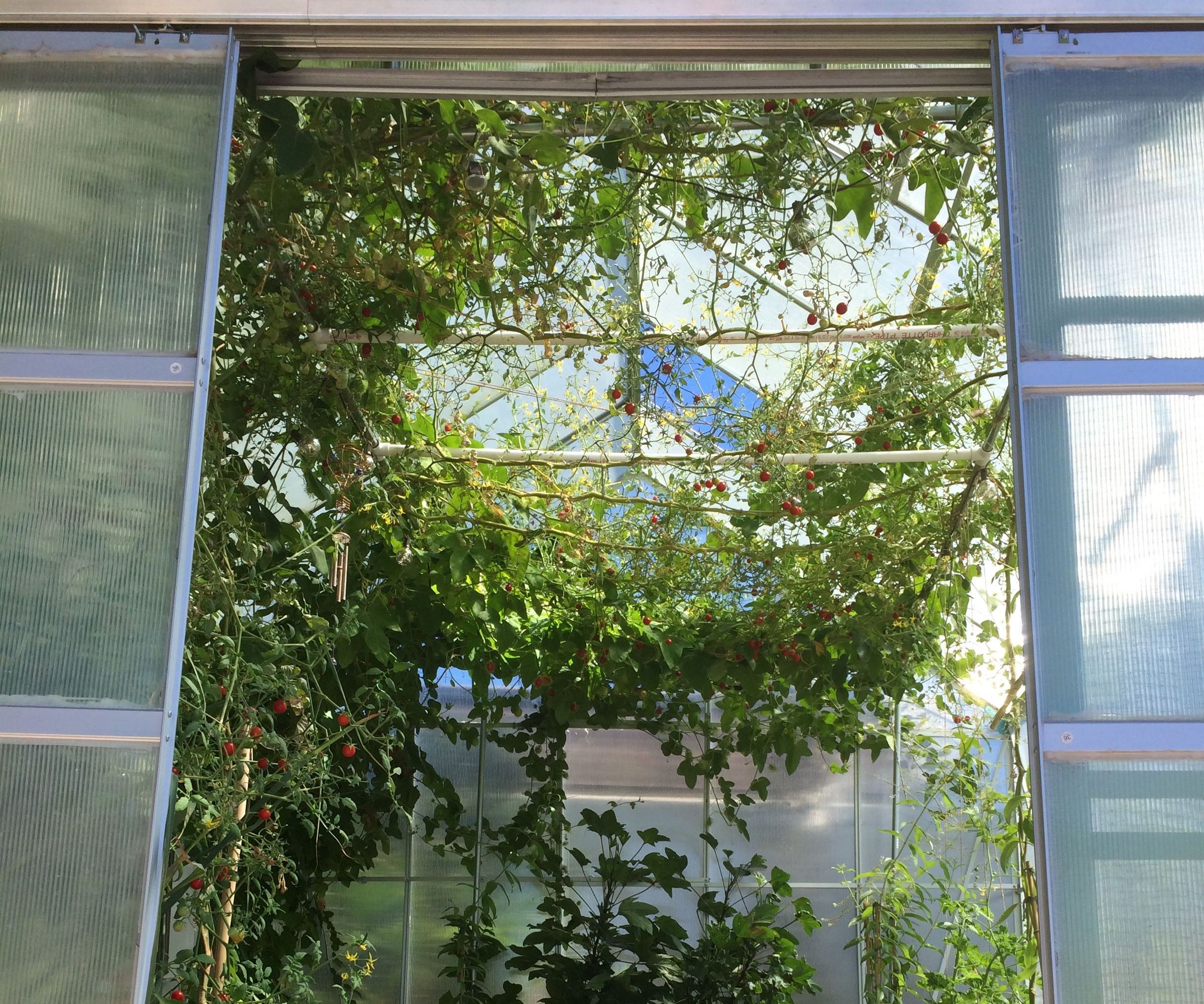 Greenhouse Modifications for Hot Climates