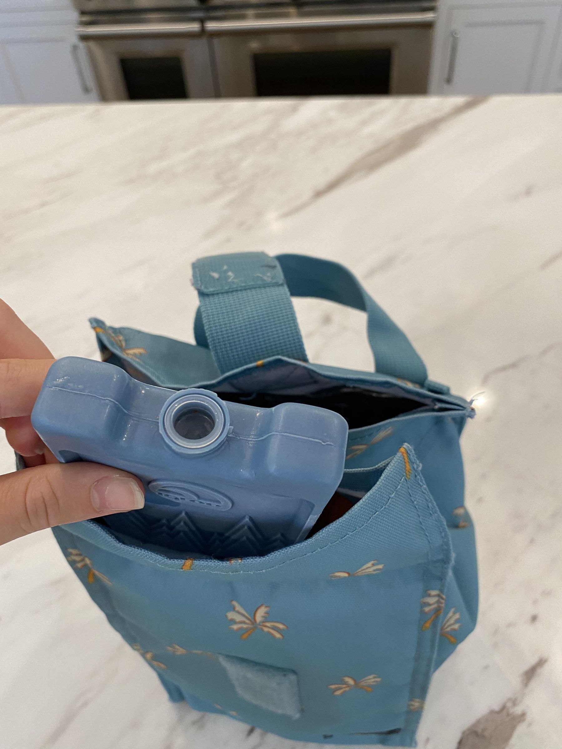 How to Make a Healthy Lunch 11 Steps Instructables