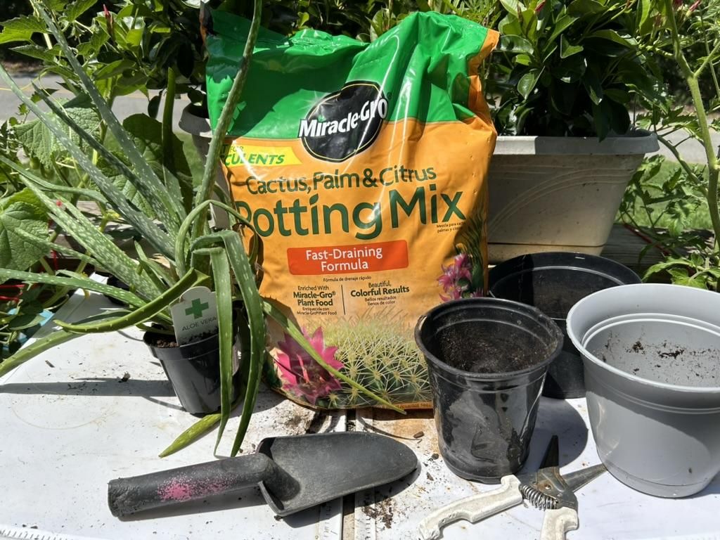 How to Repot Aloe Vera : 7 Steps - Instructables