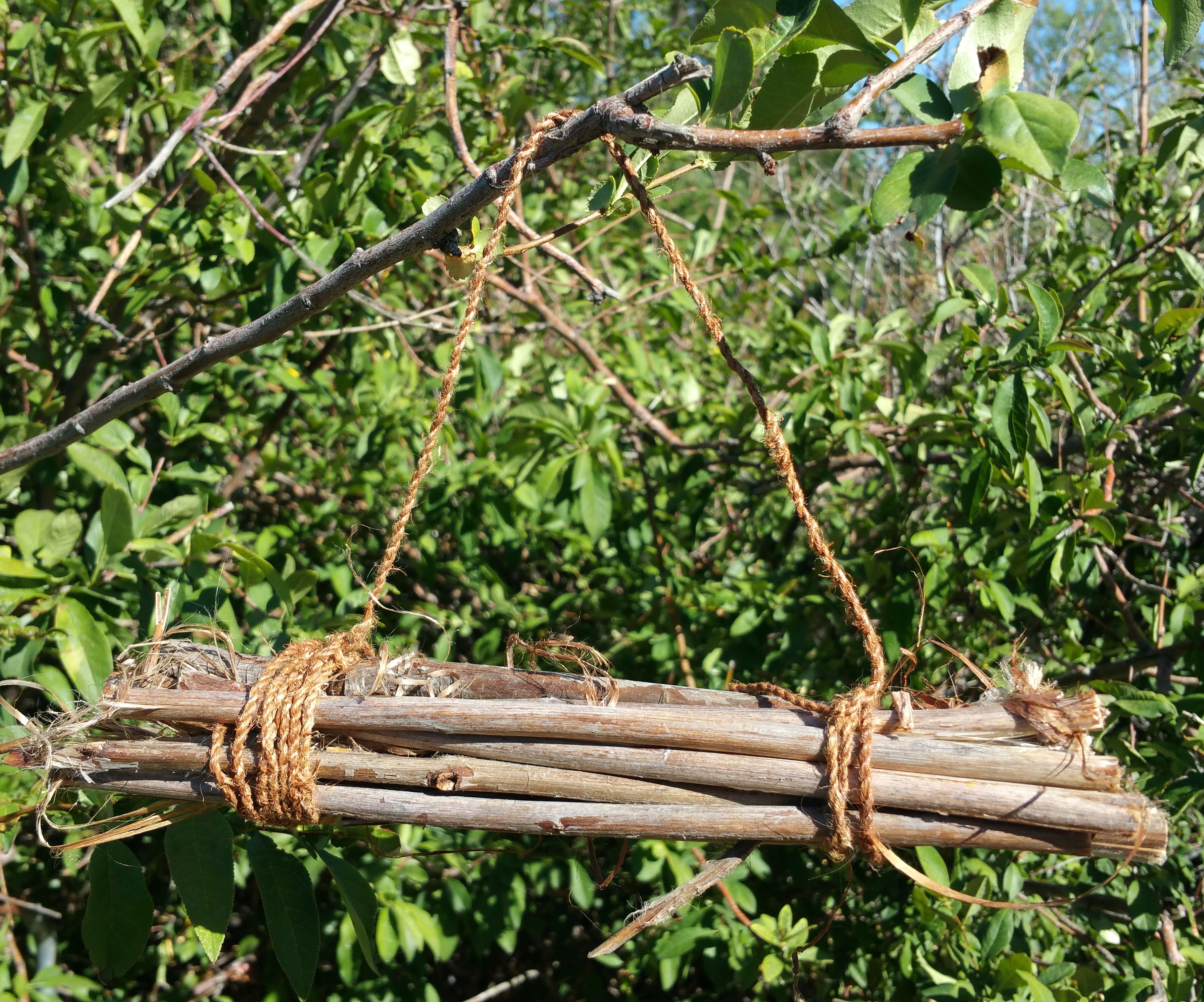 Pollinator Habitat Project