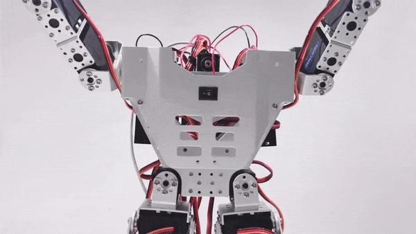 How-to: 17 DOF Humanoid Robot : 7 Steps (with Pictures) - Instructables