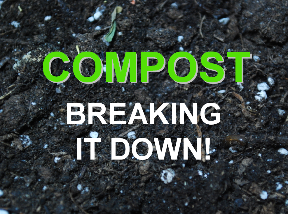 Collection Cover Image: Composting