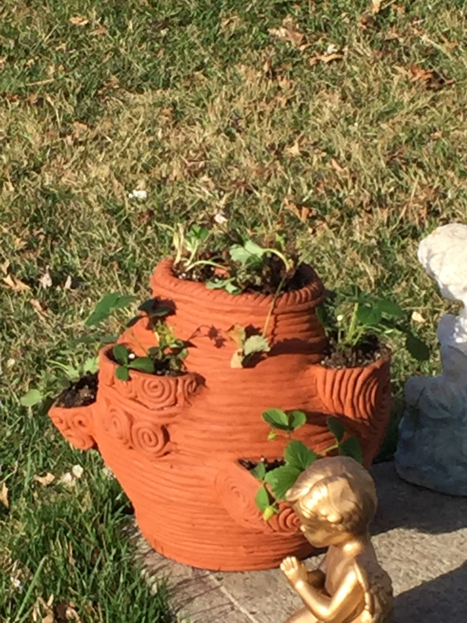 Image 15