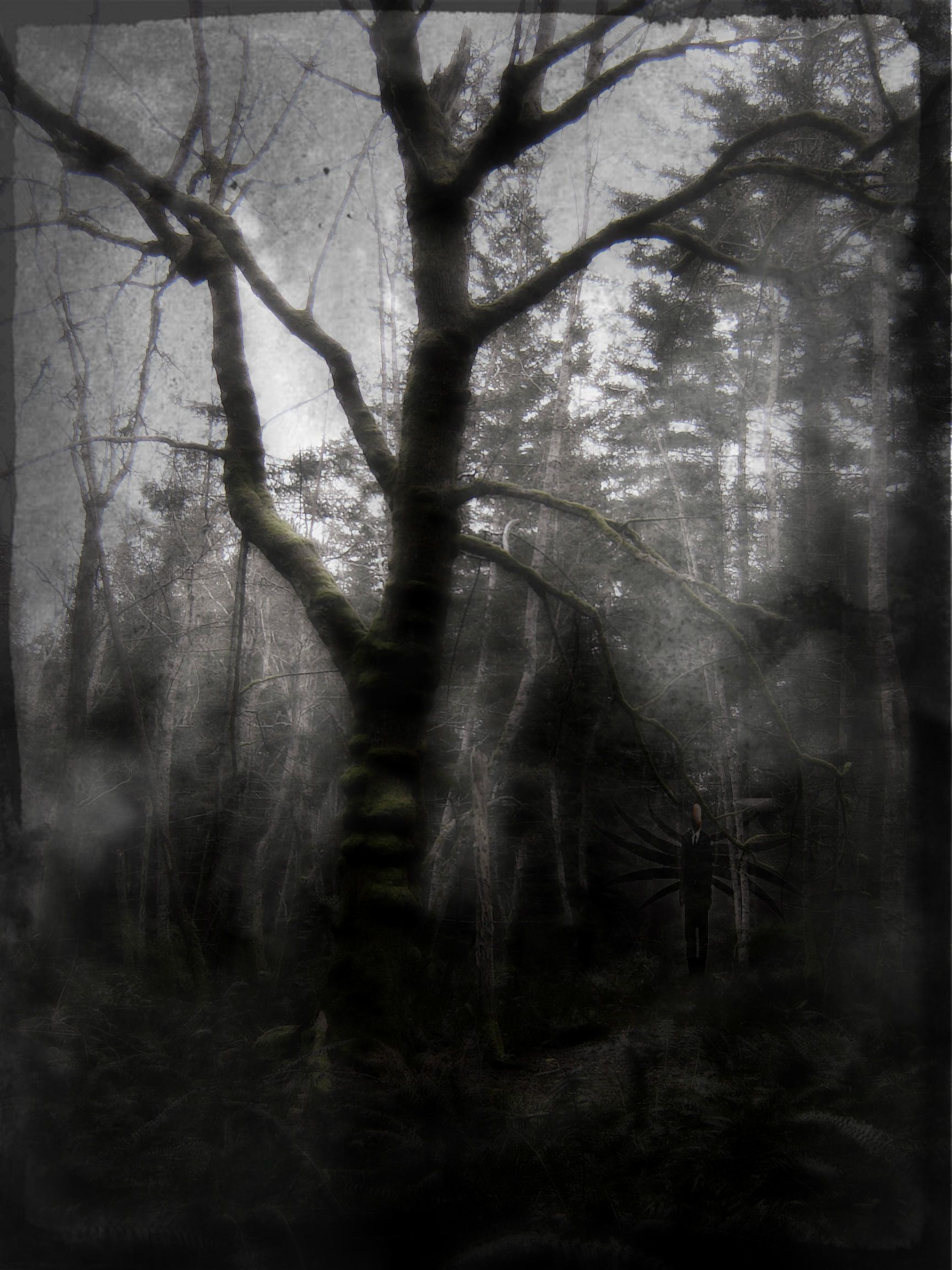 Slender Man Photo Edit