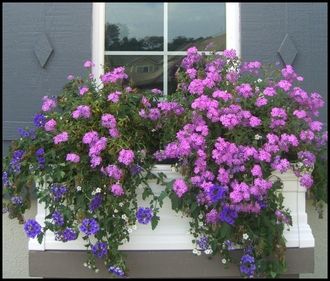 Change Your Home for the Better Using the 24 Inch Window Box