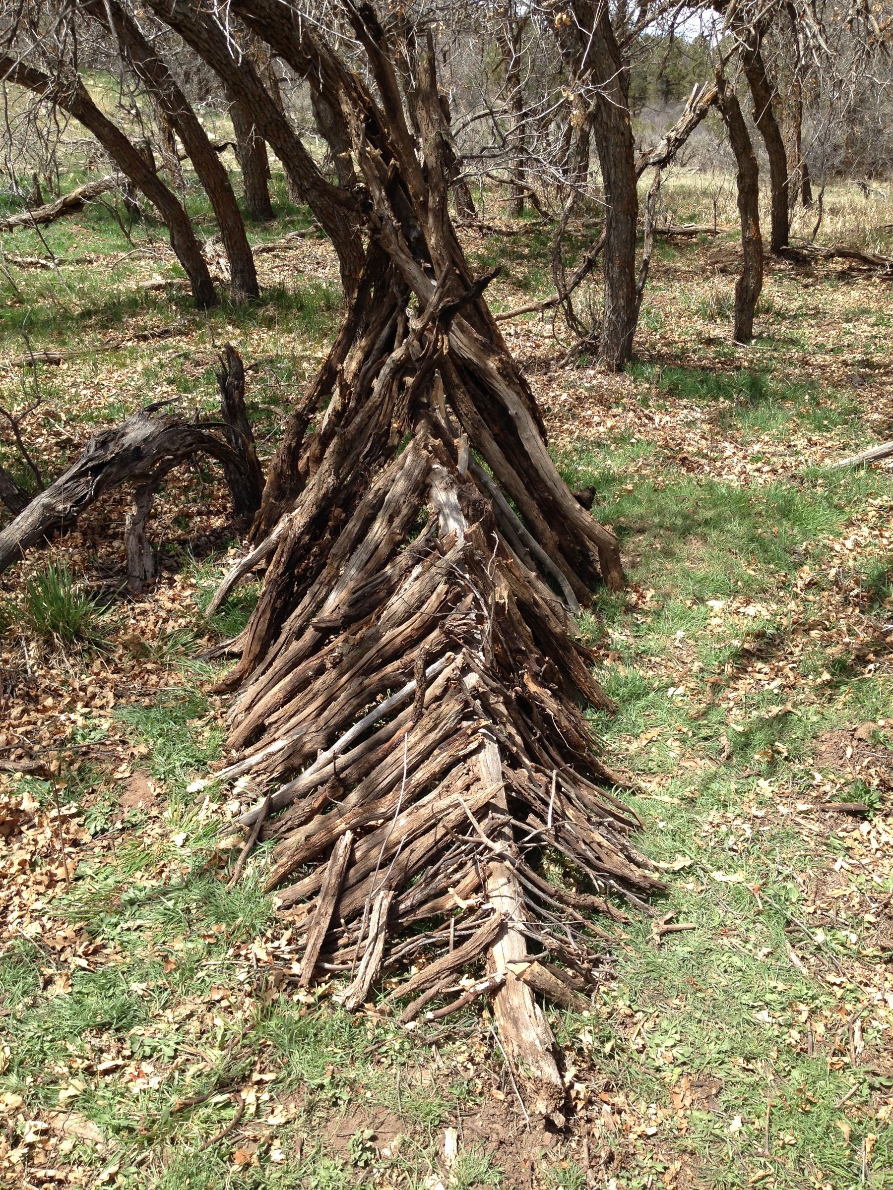 Emergency Wilderness Shelter