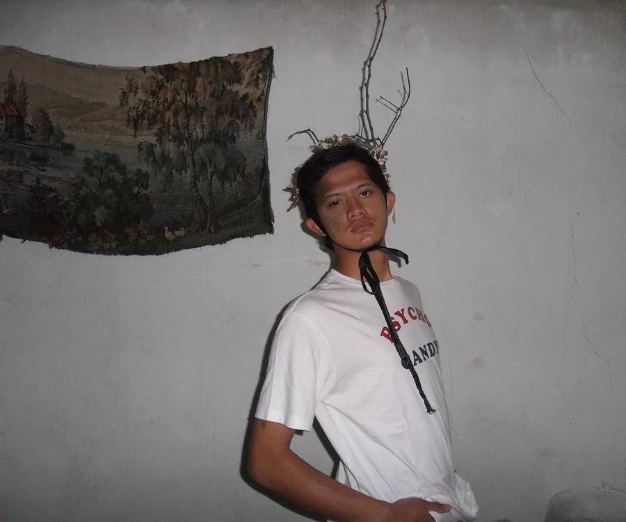 Branches Crown (Deer Horns)