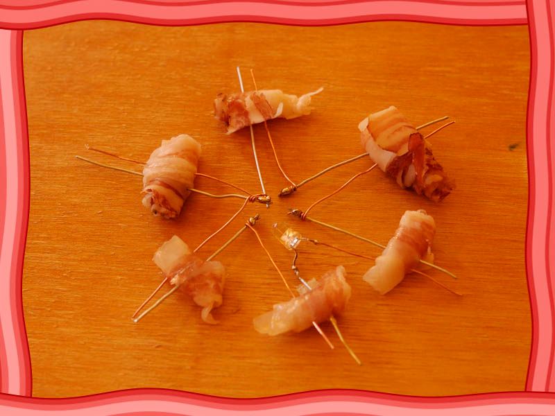 The Bacon Battery!