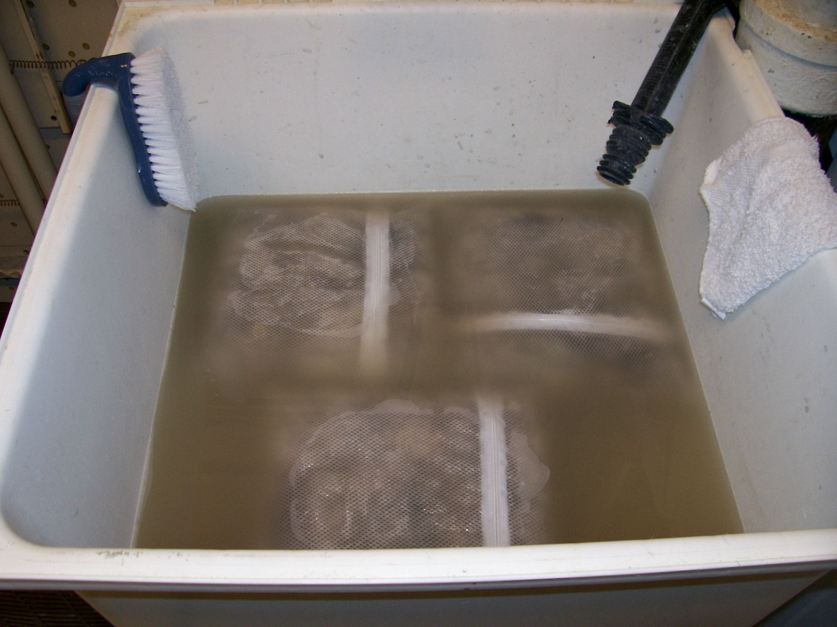 Wash Dog Fur for Spinning 7 Steps (with Pictures) Instructables