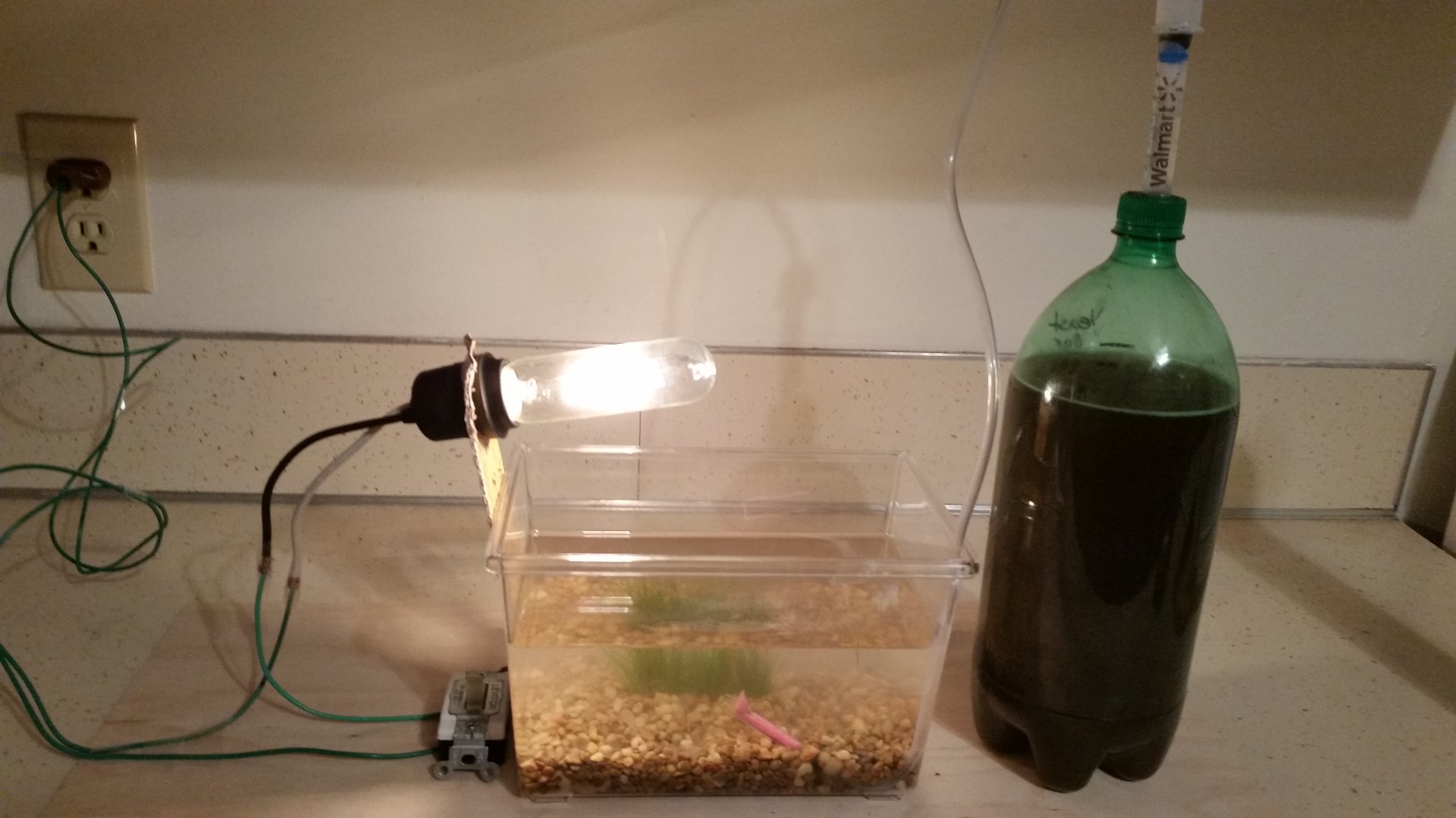 Homemade CO2 Pump to Planted Aquariums 9 Steps Instructables