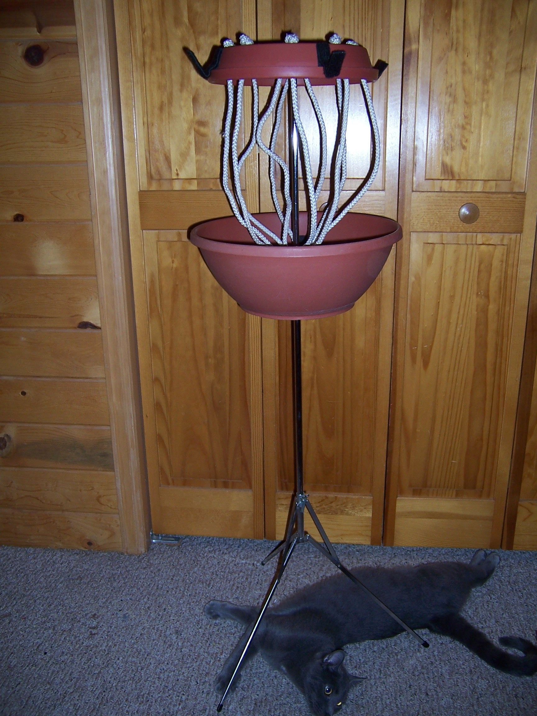 Compact Disk (CD) Golf