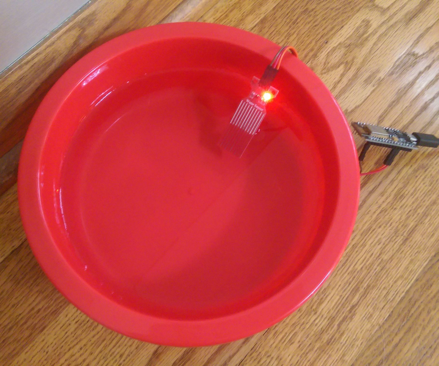 Notifying Water Bowl