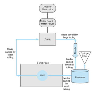 Peristaltic Pump and Perfusion Bioreactor
