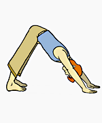 !! the TRIANGLE POSE !! (Trikonasana)
