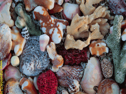 Download Some Animations