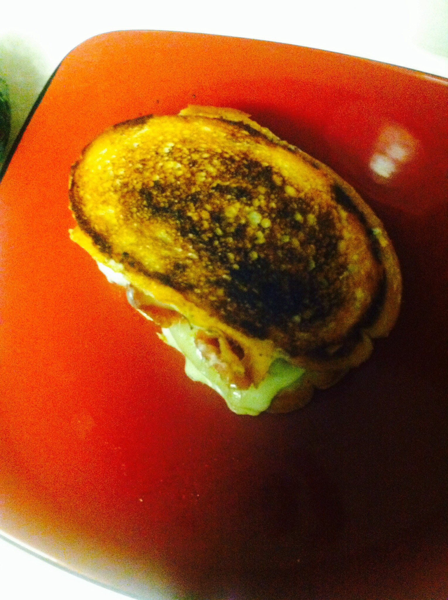 Easy Avocado Grilled Cheese Sandwich