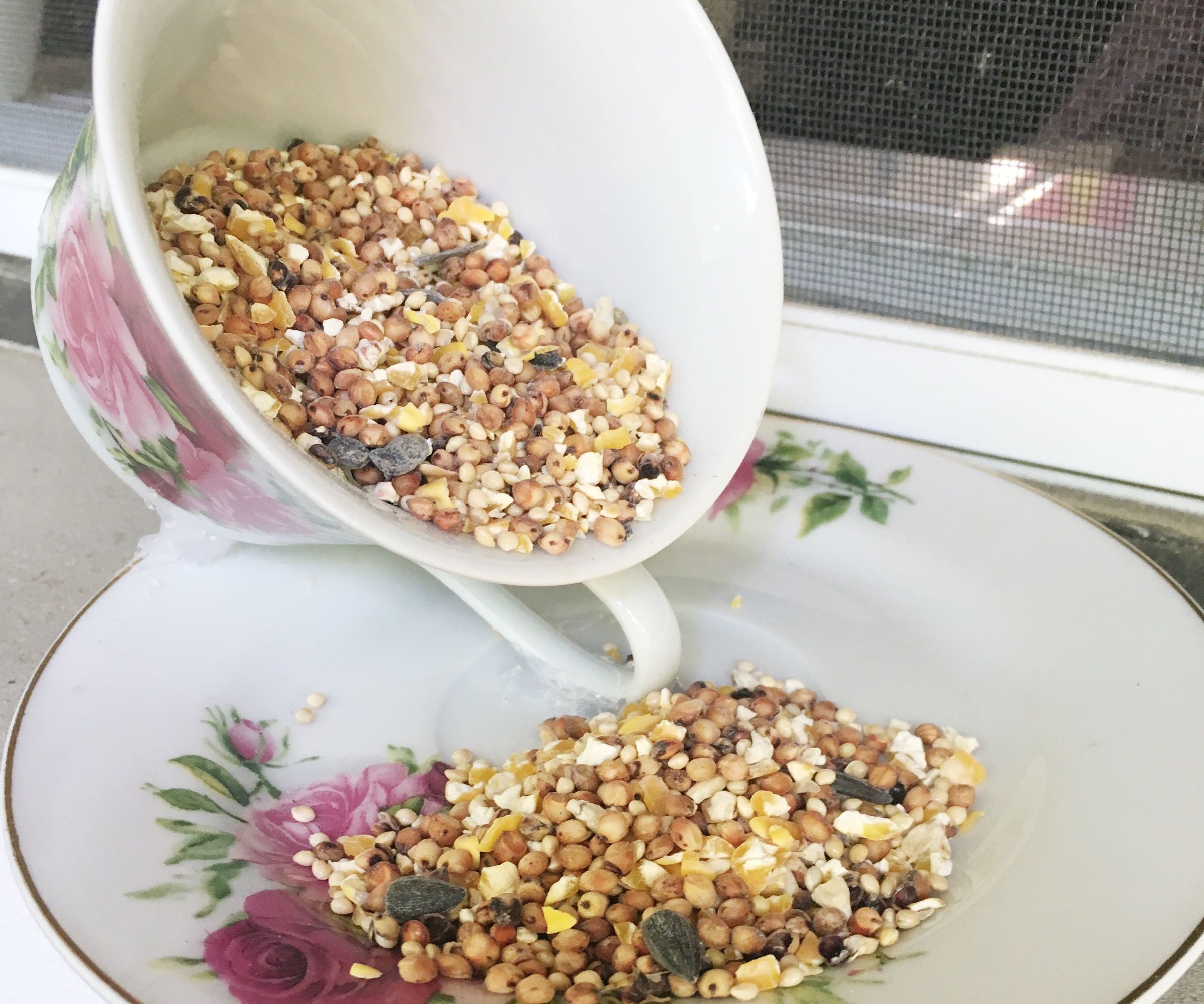 Tea Cup Bird Feeder