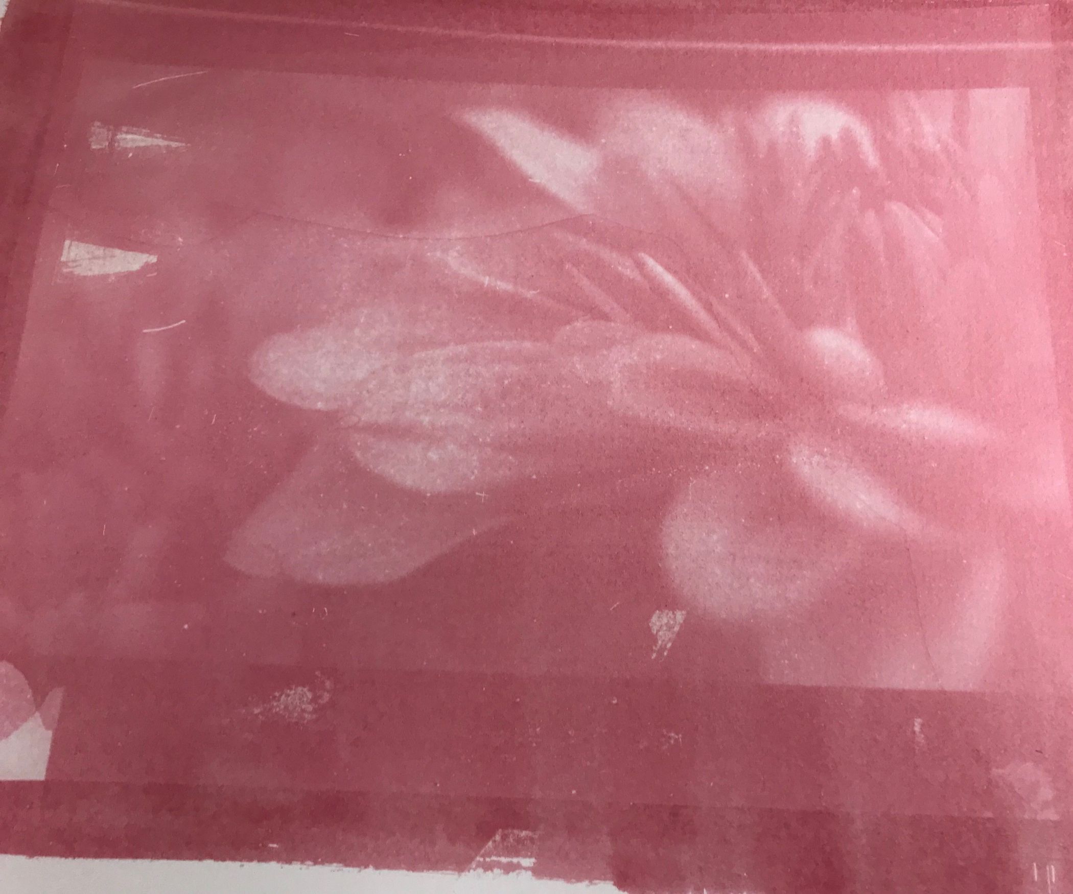 Gum Bichromate 19 Steps Instructables