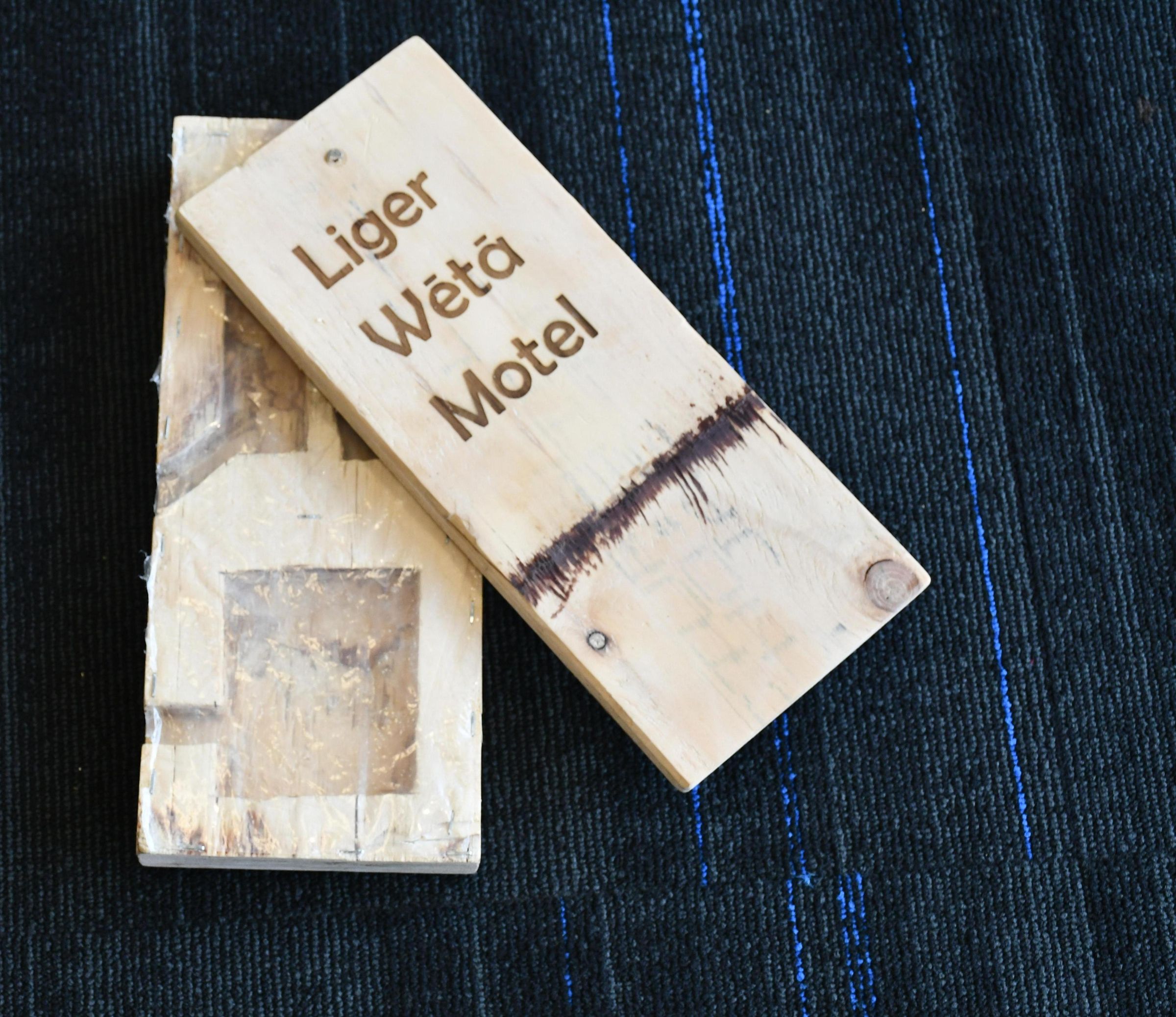 Recycled Wētā Motel