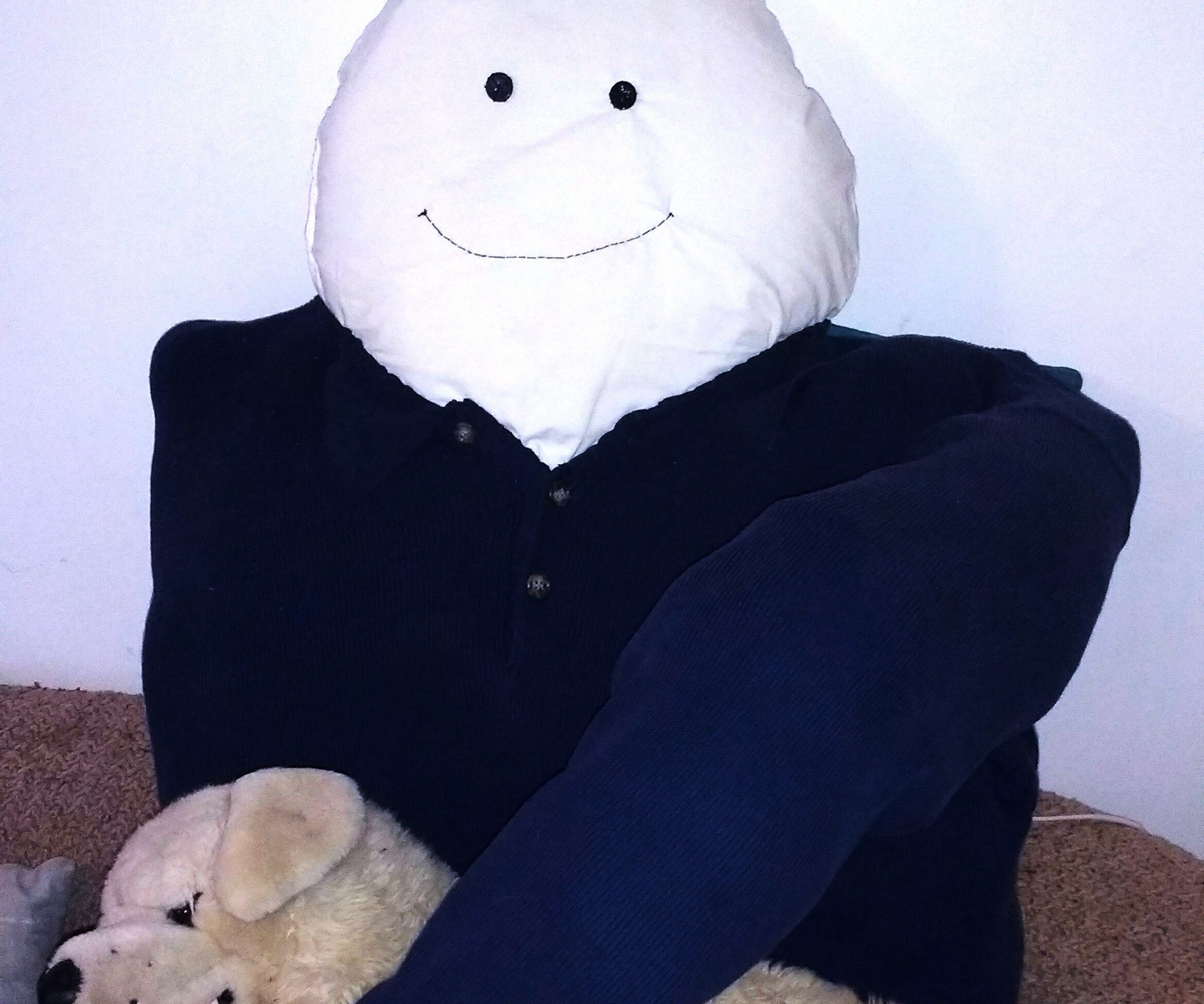 Meet Bob: the While-You're-Away Dog-Petting Pillow